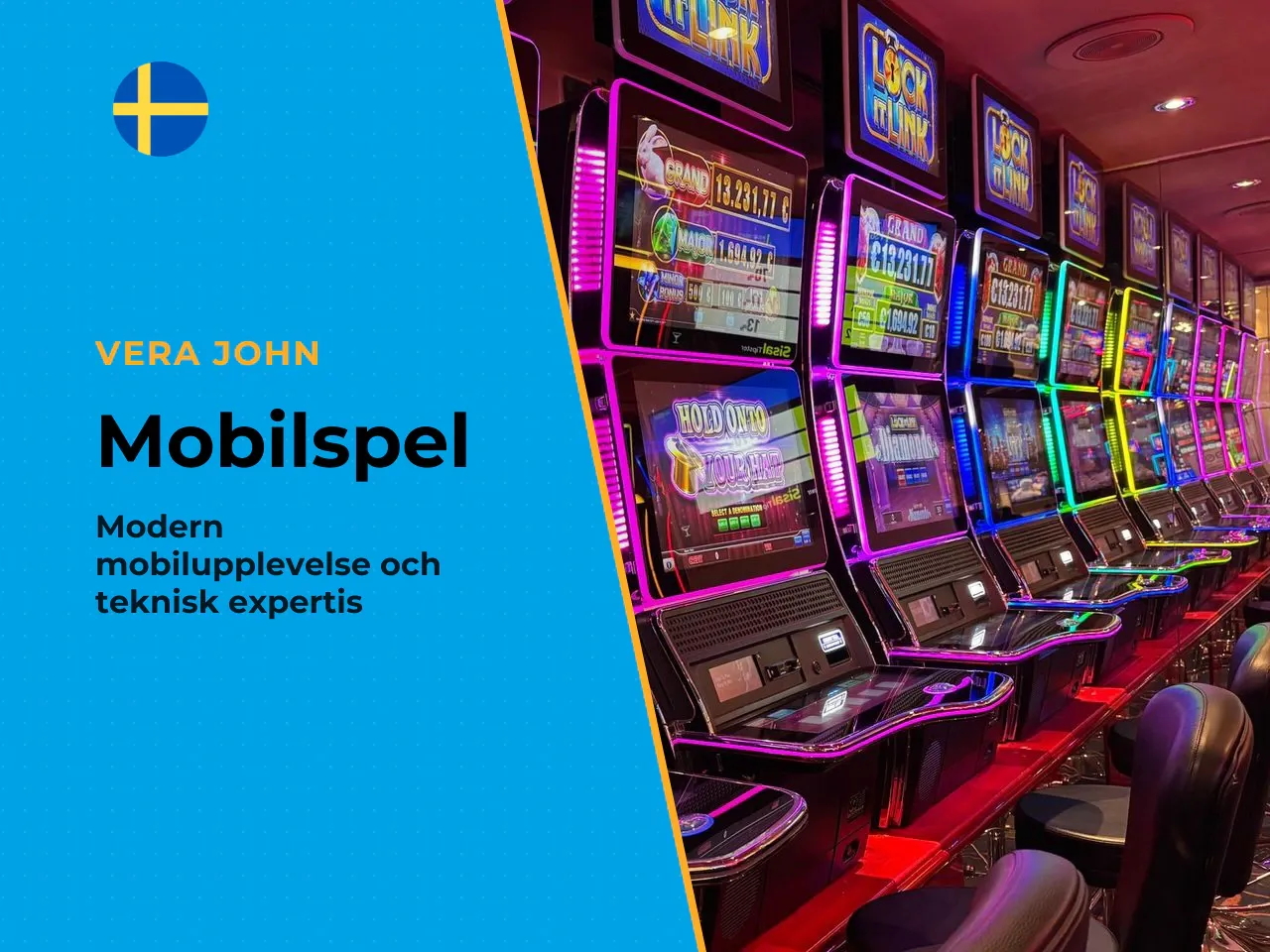 Slutsats och nästa steg. Vera John